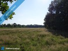 Skoczów Ochaby 57ar dzialka rolna pod lasem pod rekreacje - 3