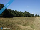 Skoczów Ochaby 57ar dzialka rolna pod lasem pod rekreacje - 6