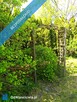Słoneczna działka z domkiem w  Rębiechowo -  300m2 - 10