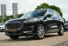 Ford Kuga VIGNALE skóra Nawi FUL LED el.klapa BLIS kamera B&Q ful opcja IVDC max - 11