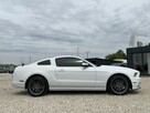 Ford Mustang Drugi Właściciel / Tempomat / Nagłośnienie Shaker / FV Marża - 3
