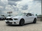 Ford Mustang Drugi Właściciel / Tempomat / Nagłośnienie Shaker / FV Marża - 8