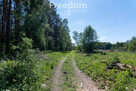 Działka budowlana Kotuń gm.Szydłowo 1196 m2 - 10