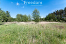 Działka budowlana Kotuń gm.Szydłowo 1650 m2 - 9