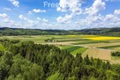 Działka 79 ar w Bachowie, gm. Krzywcza - 9