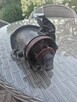 Sprzedam halogen toyota corolla verso - 3