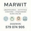Dietetyk online – skuteczny jadłospis i coaching zdrowotny – - 2