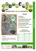 Nawóz bezchlorkowy Prosan NPK 7-12-16 z Calkorium 1 tona BB - 7