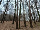 Syndyk sprzeda udziały 1/6 oraz 1/18 - Wywłoczka - 75% - 2