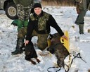 Reproduktory rasy GONCZY POLSKI użytkowe zapraszają suczki - 10