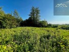 Działka rolno-budowlana Tarnów Krzyż, Gruszkowa - 1