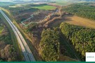 Działka inwestycyjna Strzelno gm. Pieńsk - 4