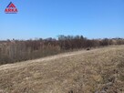 Działka rolna Sadek gm. Jodłownik - 10