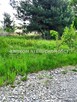 Działka budowlana Kwiatkówek gm. Kampinos - 4