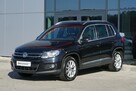 Volkswagen Tiguan 2kpl.kół Kamera Czujniki Grzany fotel Climatronic Serwis ASO GWARANCJA - 3