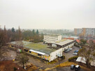 Lokal użytkowy Sopot, Aleja Niepodległości - 8