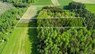 Działka Miejska Wola gm. Lidzbark Warmiński - 2