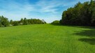 Działka Miejska Wola gm. Lidzbark Warmiński - 11