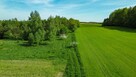 Działka Miejska Wola gm. Lidzbark Warmiński - 12