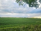 Ziemia rolna na sprzedaż – Dębnik k. Reszla - 9
