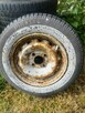 zabytkowa opona Pirelli P2000 - 1