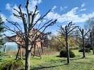 Usługa do działek, ogrodów i prac przydomowych. - 16