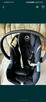 Nosidelko cybex z baza - 4