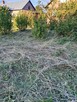 Usługa do działek, ogrodów i prac przydomowych. - 8