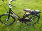 Rower elektryczny Giant Triple X 28 Alu Nexus - 3