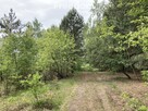 Działka budowlana 1000 m² – Wężówka - 3
