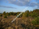 Działka Teresin - 3