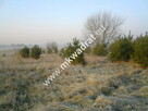 Teren pod inwestycje w gm.Teresin - 4