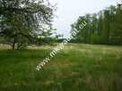 Działka Budy mszczonowskie - 4