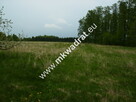 Działka Budy mszczonowskie - 5