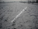 Działka Płochocin - 2