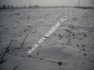Działka Płochocin - 3