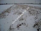 Działka Płochocin - 1