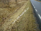 Działka Puszcza mariańska - 2