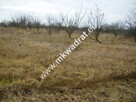 Działka Puszcza mariańska - 10