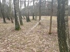 działka z planem zagospodarowania - 2