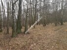 działka z planem zagospodarowania - 3