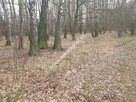 działka z planem zagospodarowania - 4