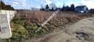 Stare Faszczyce 1199 m2 z WZ. II LINIA ZABUD - 1