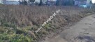 Stare Faszczyce 1199 m2 z WZ. II LINIA ZABUD - 2