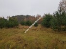 Urokliwa działka przy lesie - 3