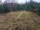 Urokliwa działka przy lesie - 5