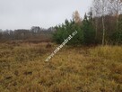 Urokliwa działka przy lesie - 6