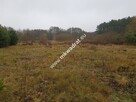 Urokliwa działka przy lesie - 7