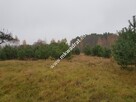 Urokliwa działka przy lesie - 8
