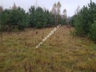 Urokliwa działka przy lesie - 9